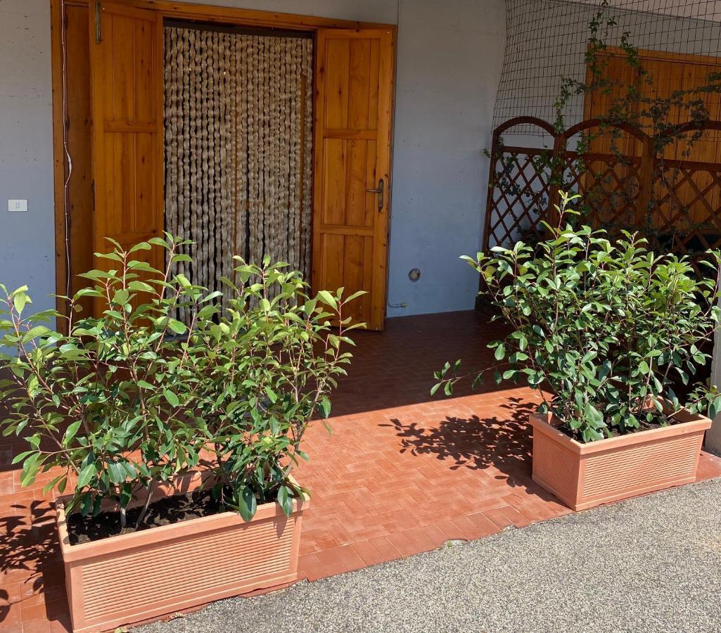 Umbria Vacanze Apartamento Stroncone Exterior foto